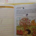 20161220_095951-768×432-150×150